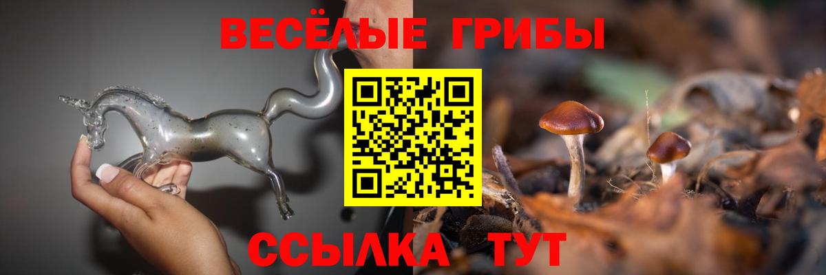 Галлюциногенные грибы ЛСД  Галлюциногенные грибы MAGIC MUSHROOMS  Вход с VPN  Донецк 